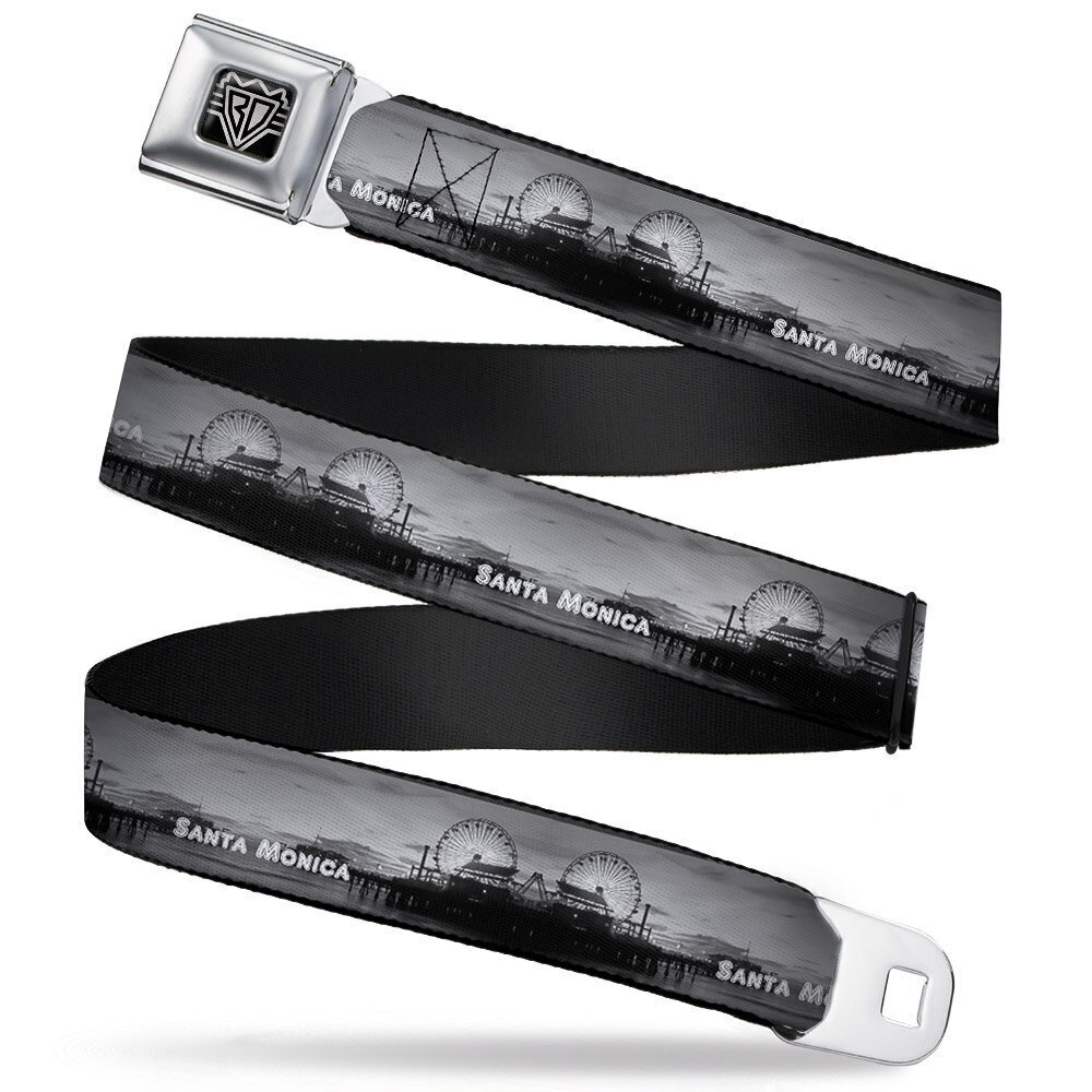 3856 Seatbelt Belt - Vivid SANTA MONICA Pier Skyline Grays/White - 1.0"